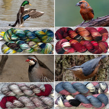 Load image into Gallery viewer, Rainbow Yarn Subscription Club