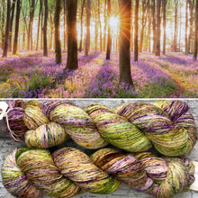 Load image into Gallery viewer, Summer Spinney, merino nylon sock yarn