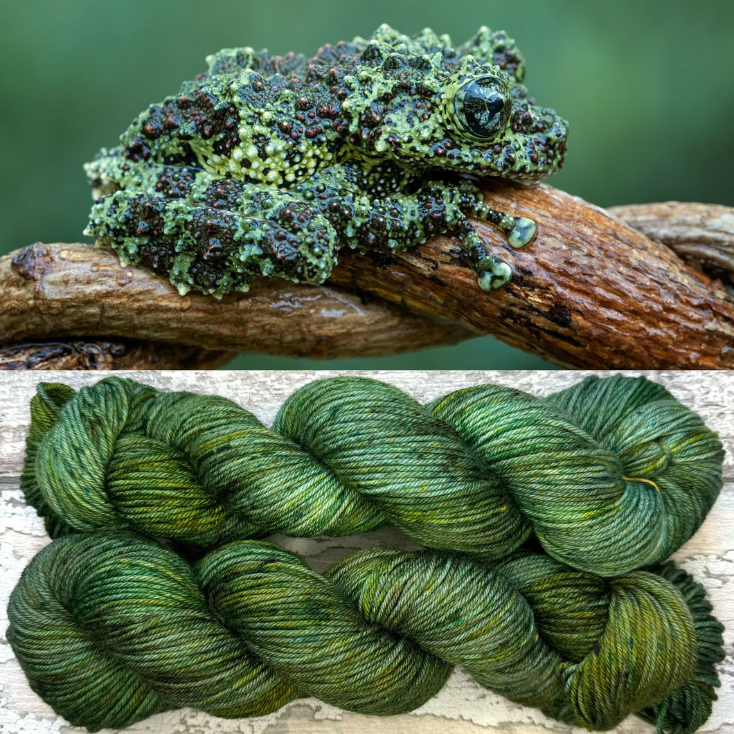 Mossy Frog DK, merino nylon yarn