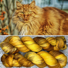Load image into Gallery viewer, Ginger Cat, merino nylon sock yarn