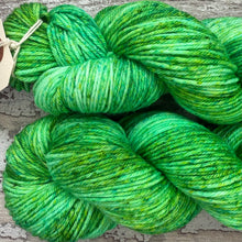 Load image into Gallery viewer, Green Chromis Fish DK, merino nylon yarn