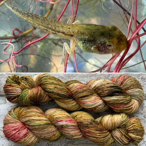 Tadpeople, merino nylon sock yarn