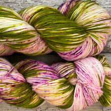 Load image into Gallery viewer, Flowering Cactus, merino nylon sock yarn