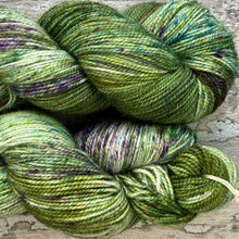 Load image into Gallery viewer, Woodland Sparkle, merino nylon sock yarn