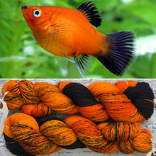 Load image into Gallery viewer, Orange Variatus Platy Fish, merino nylon sock yarn