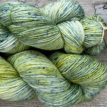 Load image into Gallery viewer, Beard Lichen, merino nylon sock yarn