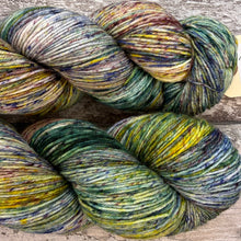 Load image into Gallery viewer, Cute Tit, merino nylon sock yarn