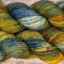 Load image into Gallery viewer, Turkey Tail, merino nylon sock yarn