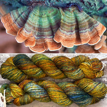 Load image into Gallery viewer, Turkey Tail DK, soft merino nylon yarn