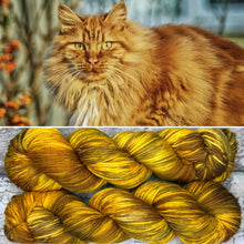 Load image into Gallery viewer, Ginger Cat DK, merino nylon yarn