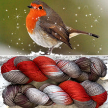 Load image into Gallery viewer, January Robin, merino nylon sock yarn