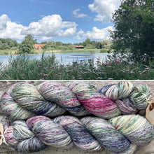 Load image into Gallery viewer, East Anglia in the Spring, merino nylon sock yarn