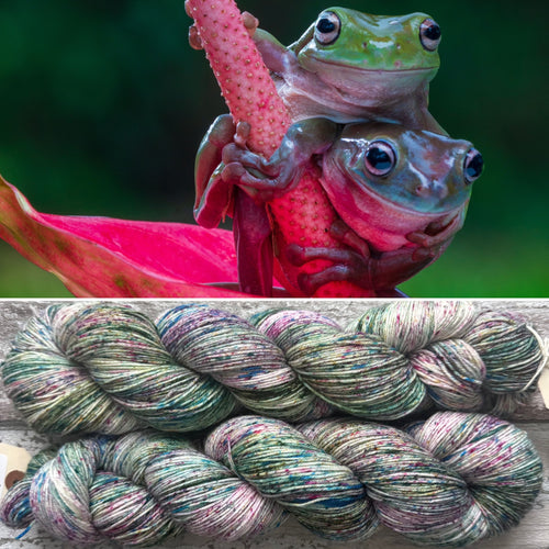 Froggy Friends, merino nylon sock yarn