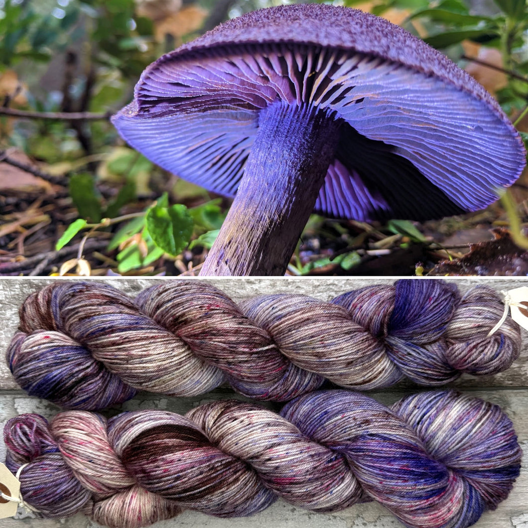 Violet Webcap, British Fungi Bluefaced Leicester