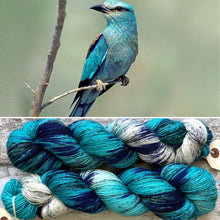 Load image into Gallery viewer, European Roller, merino nylon sock yarn
