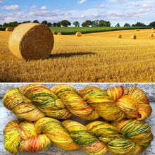 Load image into Gallery viewer, Tractor Eggs, merino nylon sock yarn
