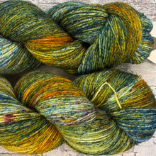 Load image into Gallery viewer, Turkey Tail, merino nylon sock yarn