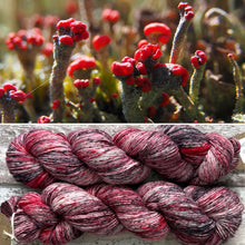 Load image into Gallery viewer, British Soldiers Lichen, merino nylon sock yarn