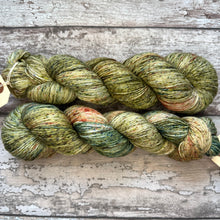 Load image into Gallery viewer, Awakening Woodland, merino nylon sock yarn