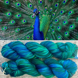 Peacock Aran, soft superwash merino yarn