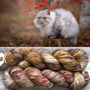 Poppycat, merino nylon sock yarn
