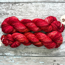 Load image into Gallery viewer, Discus Fish, merino nylon sock yarn