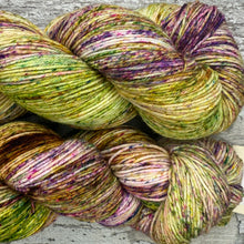 Load image into Gallery viewer, Summer Spinney, merino nylon sock yarn