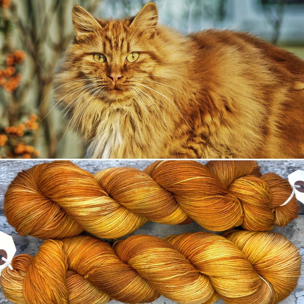 Ginger Cat, merino nylon sock yarn