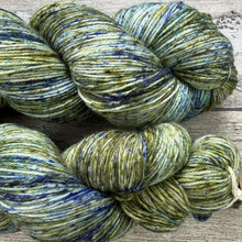 Load image into Gallery viewer, Monk’s Hood Lichen, merino nylon sock yarn