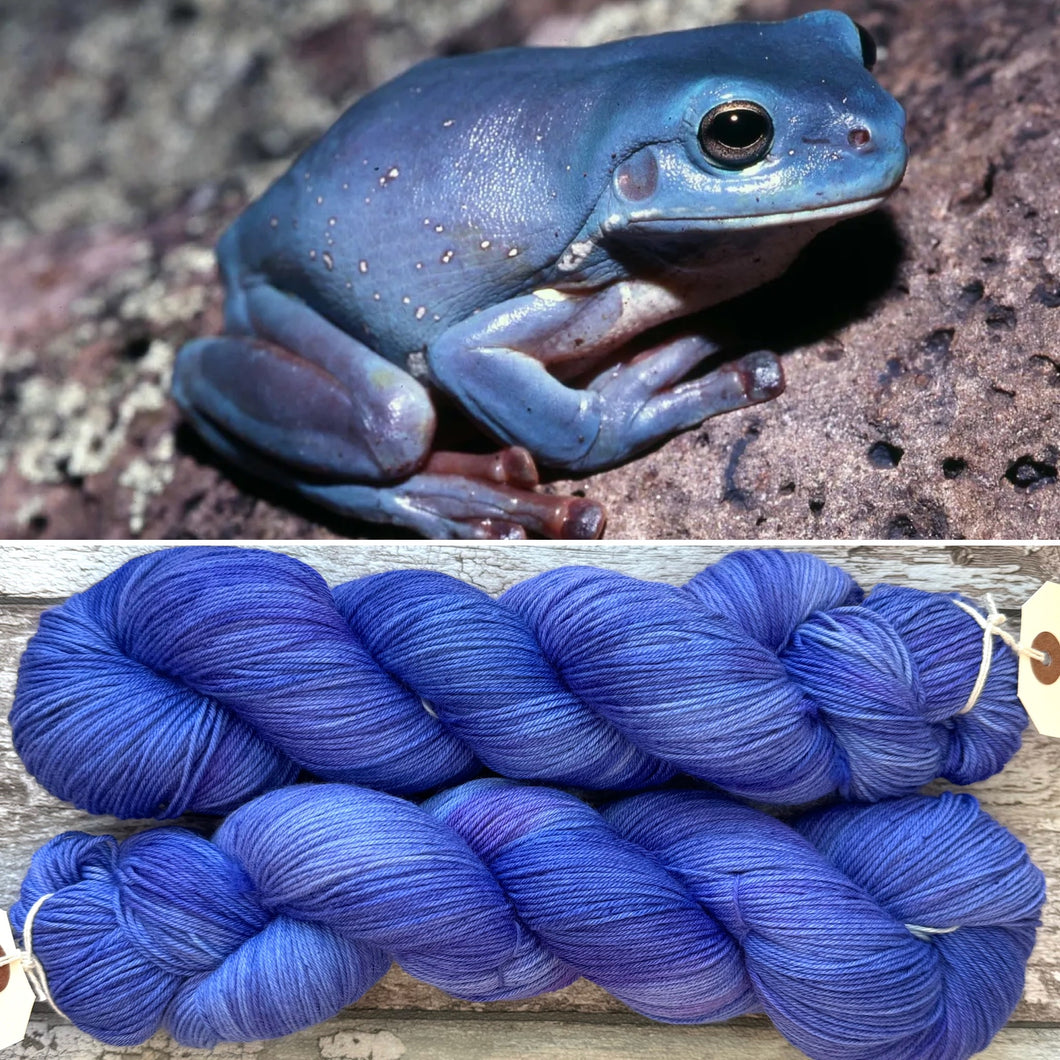 “Blue” White’s (Green) Tree frog DK, merino nylon yarn