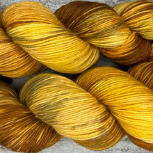 Load image into Gallery viewer, Ginger Cat, merino nylon sock yarn