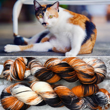 Load image into Gallery viewer, Calico Cat, merino nylon sock yarn