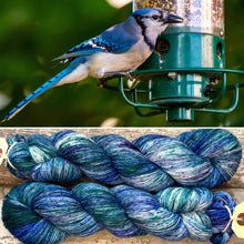 Load image into Gallery viewer, Blue Jay, merino nylon sock yarn