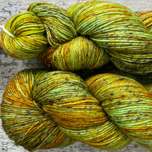 Load image into Gallery viewer, Glass Frog, merino nylon yarn