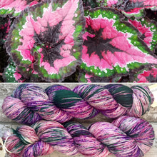 Load image into Gallery viewer, SALE Christmas Begonia, merino nylon sock yarn