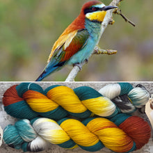 Load image into Gallery viewer, (April) European Bee Eater, merino nylon sock yarn
