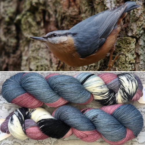 Nuthatch, British Birds Bluefaced Leicester