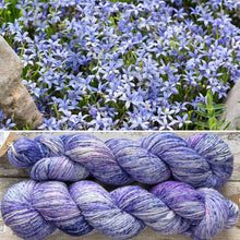 Load image into Gallery viewer, Blue Star Creeper, merino nylon sock yarn