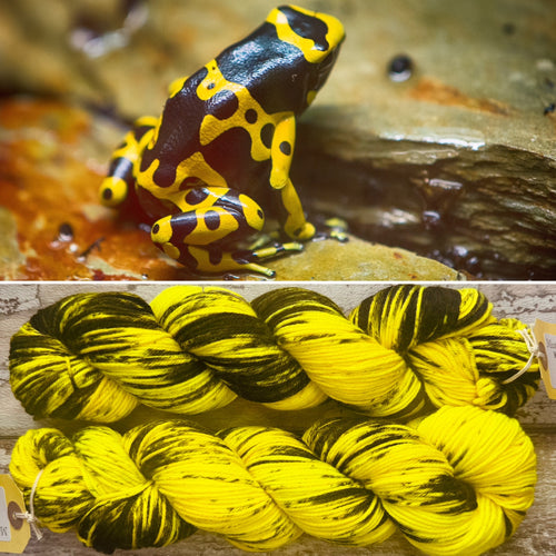 Yellow Banded Dart Frog DK, merino nylon yarn