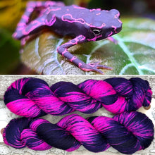 Load image into Gallery viewer, Harlequin Toad, merino nylon yarn