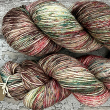Load image into Gallery viewer, Aw Nuts!, merino nylon sock yarn
