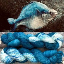 Load image into Gallery viewer, Turquoise Rainbowfish, merino nylon sock yarn
