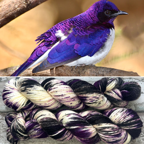 Violet Backed Starling Aran, soft superwash merino yarn