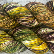 Load image into Gallery viewer, Horse Chestnut DK, merino nylon yarn
