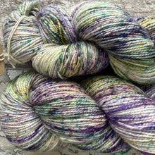 Load image into Gallery viewer, Brambles Sparkle, merino nylon sock yarn