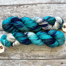 Load image into Gallery viewer, European Roller, merino nylon sock yarn