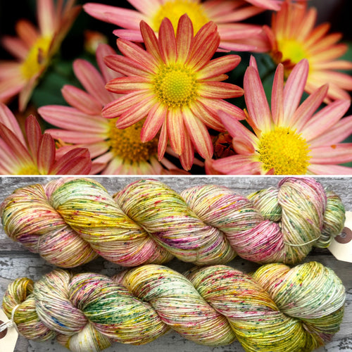 Lazy Daisy Days, merino nylon sock yarn