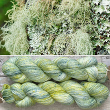 Load image into Gallery viewer, Beard Lichen, merino nylon sock yarn