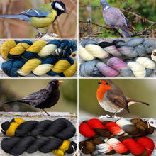 Load image into Gallery viewer, Rainbow Yarn Subscription Club