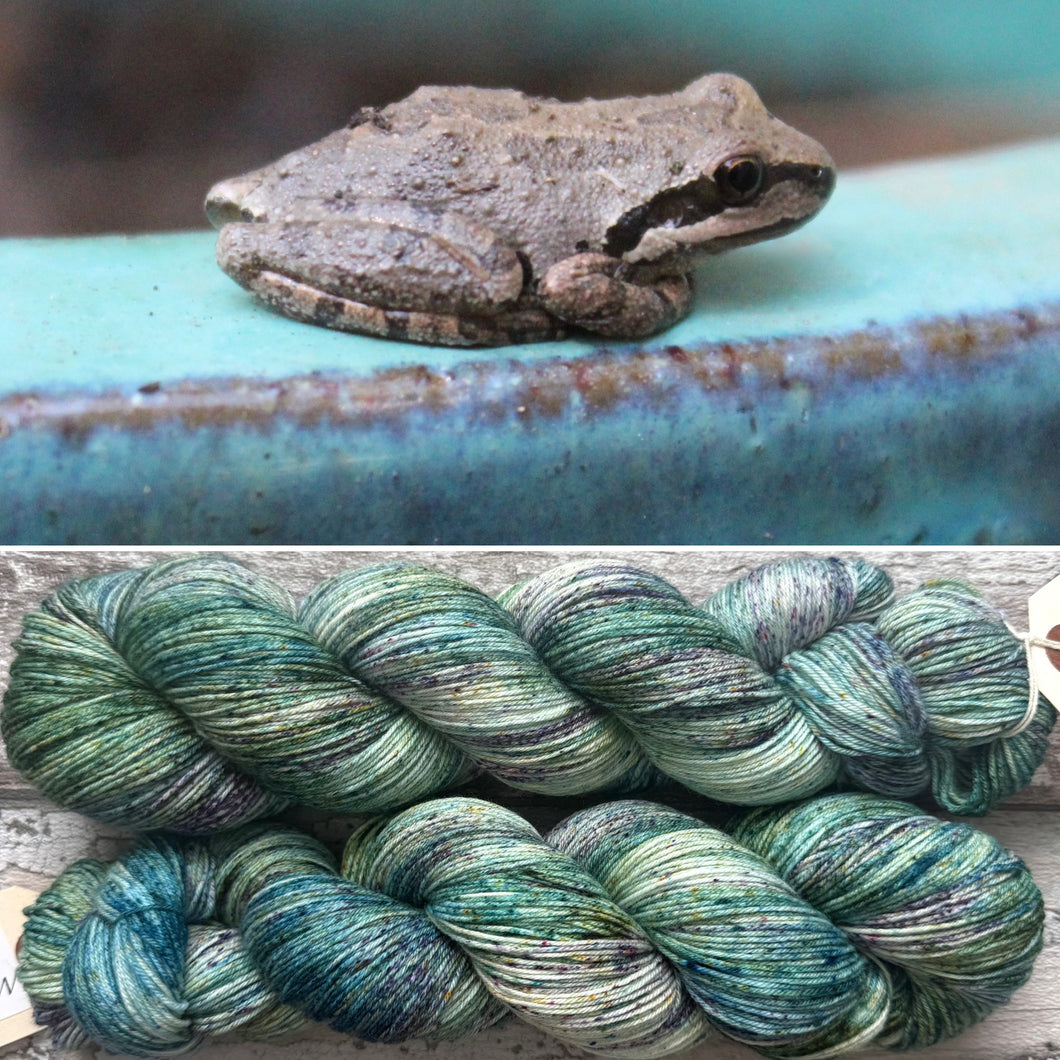 Ribbit, merino nylon sock yarn